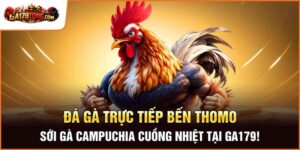 Đá Gà Trực Tiếp Bên Thomo Hấp Dẫn Mỗi Ngày Tại GA179