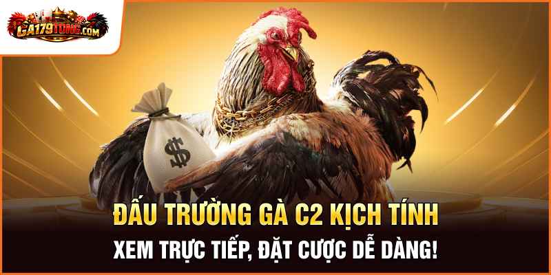 Đấu Trường Gà C2 Kịch Tính – Xem Trực Tiếp, Đặt Cược Dễ Dàng!