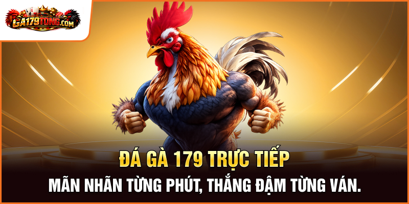  Đá gà 179 trực tiếp - Mãn nhãn từng phút, thắng đậm từng ván.