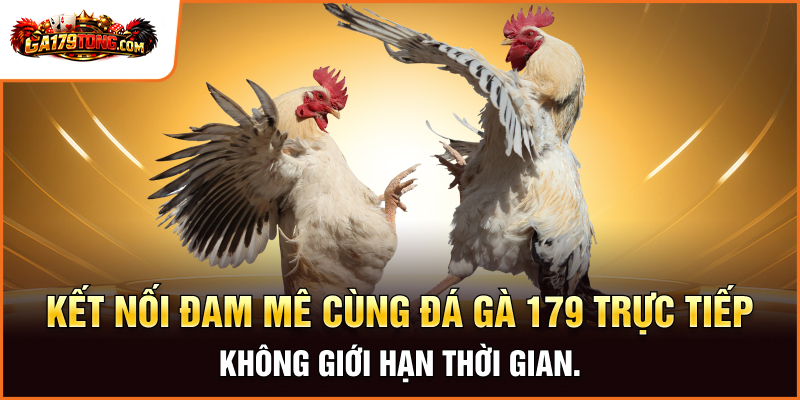  Kết nối đam mê cùng đá gà 179 trực tiếp