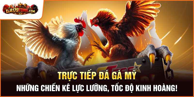 Những Chiến Kê Lực Lưỡng, Tốc Độ Kinh Hoàng!