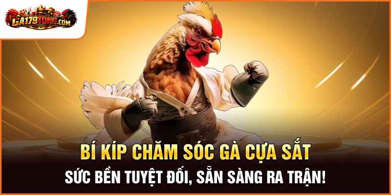 Bí Kíp Chăm Sóc Gà Cựa Sắt – Sức Bền Tuyệt Đối, Sẵn Sàng Ra Trận!
