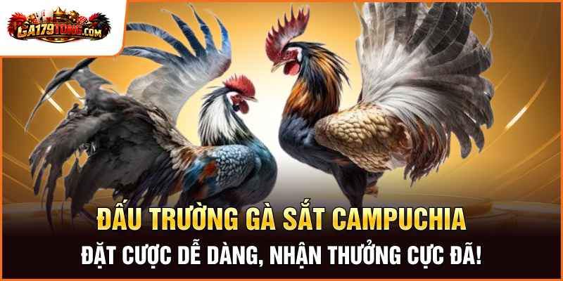 Đấu Trường Gà Sắt Campuchia – Đặt Cược Dễ Dàng, Nhận Thưởng Cực Đã!