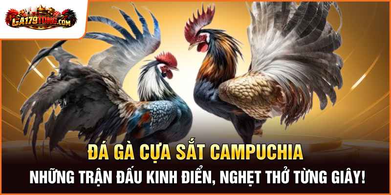 Đá Gà Cựa Sắt Campuchia – Những Trận Đấu Kinh Điển, Nghẹt Thở Từng Giây!