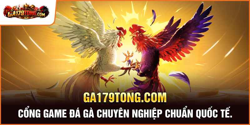 machsolidarityfund.org.uk - Cổng game đá gà chuyên nghiệp chuẩn quốc tế.